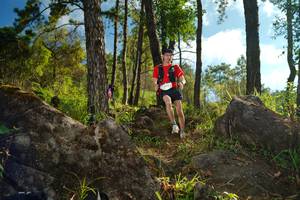 BIB: 
                            <button type="button" onclick="openModal(18933492)" class="btn btn-primary btn-sm float-right btn-popup" data-toggle="modal" data-target=".modal-high-quality">
                        <i class="fas fa-shopping-cart"></i> Add to Cart
                    </button>
                                            <button type="button" onclick="isThisMe(18933492, true)" class="btn btn-success btn-sm float-right btn-popup btn-isme hidden" data-toggle="tooltip" data-placement="bottom" title="นี่คือรูปของคุณใช่ไหม คลิกที่นี่เพื่อเอาเข้าอัลบั้ม">
                        <i class="fas fa-plus"></i> Add to album
                    </button>
                    <button type="button" onclick="isThisMe(18933492, false)" class="btn btn-warning btn-sm float-right btn-popup btn-isnotme hidden">
                        <i class="fas fa-ban"></i> Remove from album
                    </button>